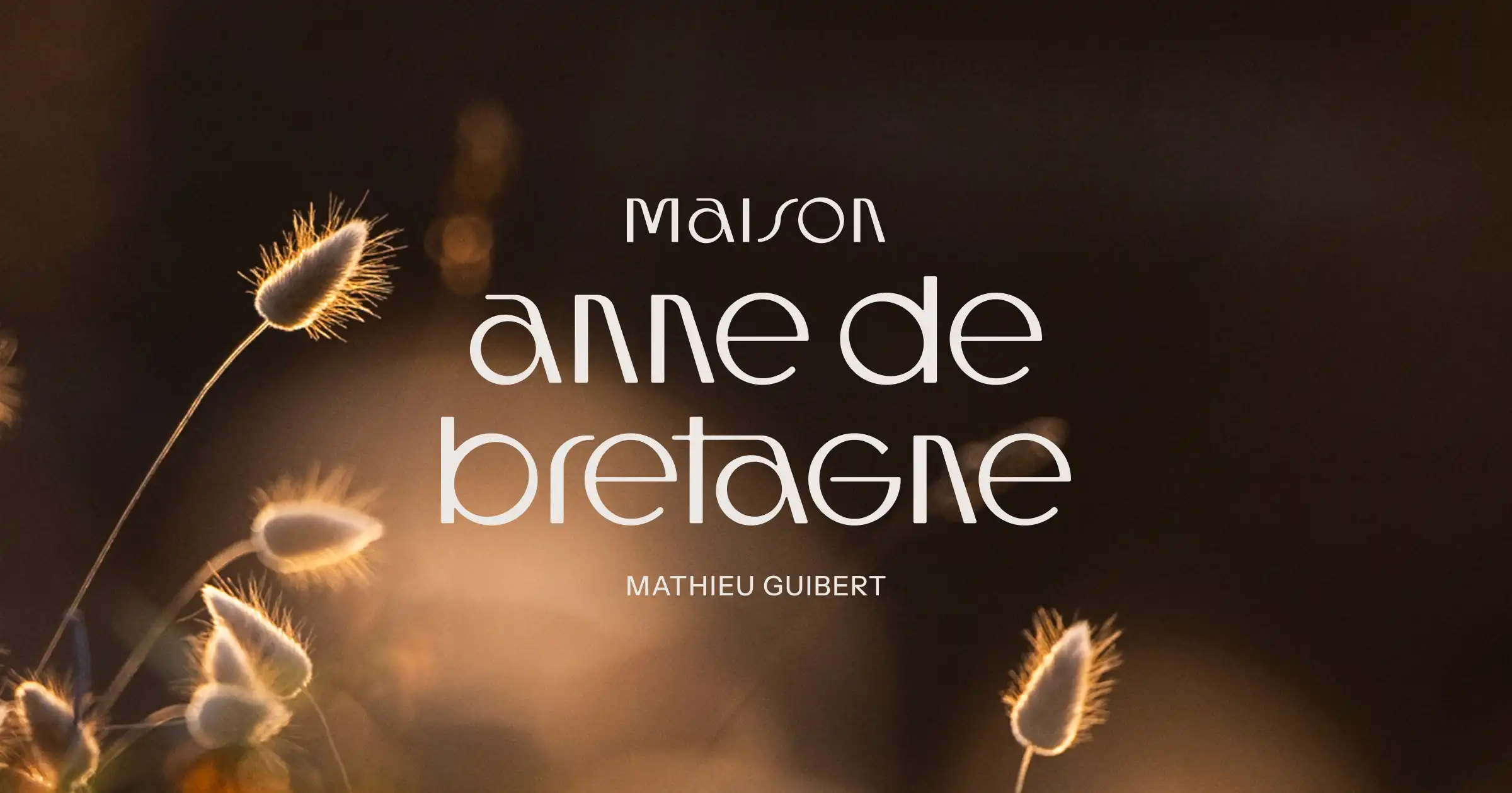 Hôtel Restaurant Anne de Bretagne