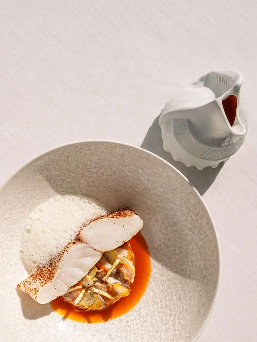 turbot